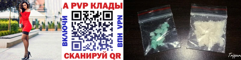 APVP СК  Стародуб 